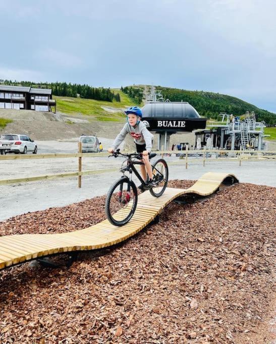 Flott Fritidsleilighet I Bualie Pa Golsfjellet Zewnętrze zdjęcie
